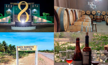 Rota do Vinho: Vinícola Rio Sol+ Vinícola Bianchetti