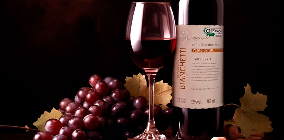 vinhos-vinicola-bianchetti-rafhatur-turismo