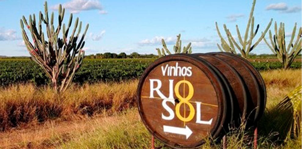 visitando-rota-do-vinho-vinicola-rio-sol-rafhatur-turismo